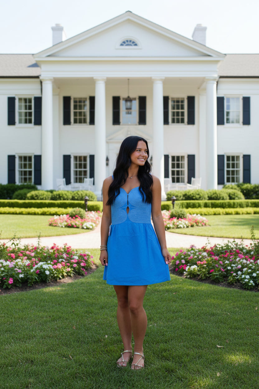 The Sunny Blue Dress